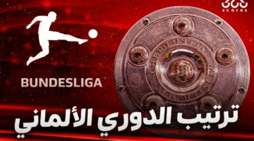 ترتيب الدوري الألماني عقب انتهاء موسم 2024/2025