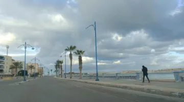 حالة الطقس اليوم: أجواء ربيعية دافئة خلال النهار ومعتدلة ليلاً، مع درجة حرارة عظمى في القاهرة تصل إلى 32 درجة.