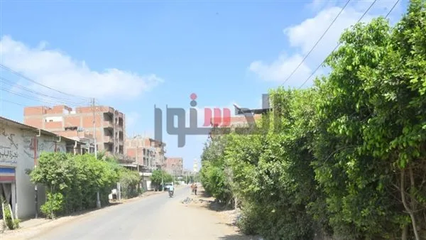 حالة الطقس بالغربية اليوم الأربعاء 7 مايو 2025