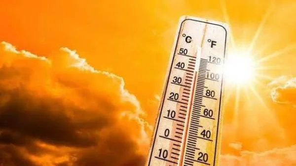 حالة الطقس غدا| شبورة وحر صباحا