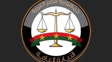 حالة طفل التوك توك: النيابة تقرر حبس المتهم بسبب نشره فيديو قديم