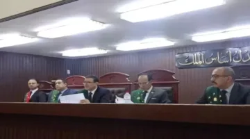 حبس عامل خردة بشكل مشدد بتهمة قتل سيدة وحيازة سلاح ناري في شبرا الخيمة