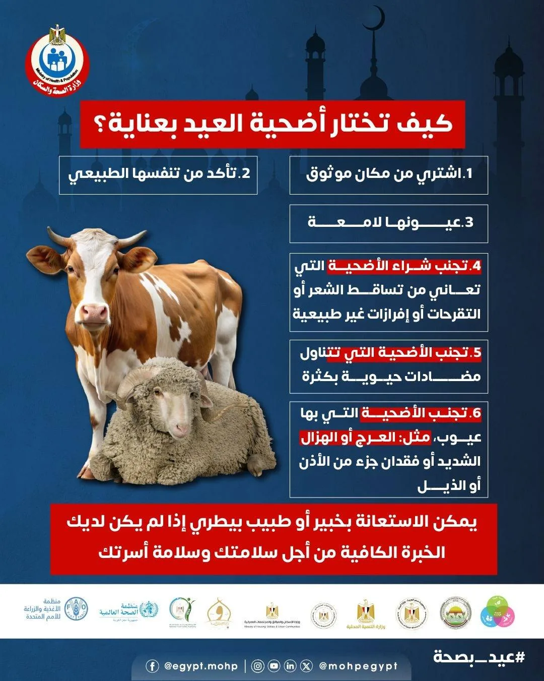 حتى لا تُخدع: كيف تختار أضحية العيد بعناية حتى لا تُخدع: كيف تختار أضحية العيد بعناية