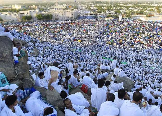 إنشاء غرفة عمليات على مدار الساعة لـ “شركات السياحة” لمراقبة حالة الحجاج ومعالجة مشكلاتهم إنشاء غرفة عمليات على مدار الساعة لـ “شركات السياحة” لمراقبة حالة الحجاج ومعالجة مشكلاتهم