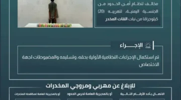 حرس الحدود في جازان يعتقل شخصا لمخالفته نظام أمن الحدود إثر تهريبه 20 كيلوغرامًا من نبات القات المخدر.