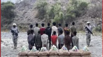 حرس الحدود في عسير يعتقل 15 شخصًا لتهريبهم 330 كيلوغرامًا من مخدر القات