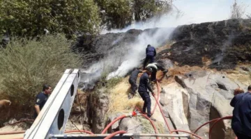 حريق في أحد جزر النيل بأسوان وفرق الإطفاء تتمكن من السيطرة عليه