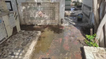 حريق في المقابر التاريخية ببورسعيد.. والفرق المدنية تتمكن من إطفاءه | صور