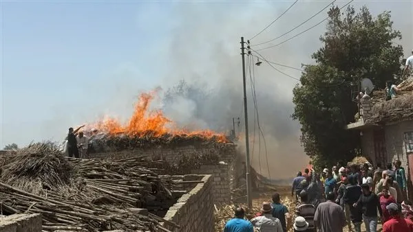حريق مزرعة مواشي بسمنود في الغربية.. والحماية المدنية تحاول السيطرة