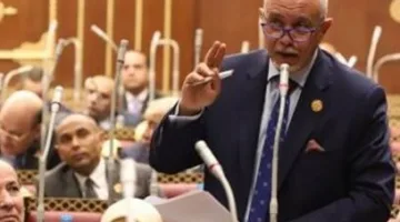 عضو في مجلس الشيوخ: ضرورة فرض رقابة مشددة وتحديد أسعار عادلة لشوادر اللحوم قبل عيد الأضحى