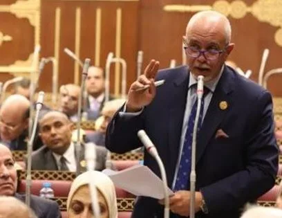 عضو في مجلس الشيوخ: ضرورة فرض رقابة مشددة وتحديد أسعار عادلة لشوادر اللحوم قبل عيد الأضحى