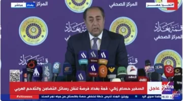 حسام زكي: مؤتمر حول حل الدولتين سيُعقد في نيويورك في يونيو