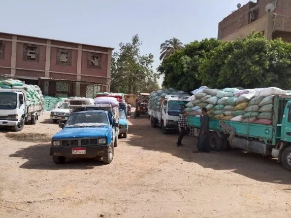حسن المحصول.. 390 ألف طن من القمح وصلت إلى صوامع المنيا منذ بداية موسم 2025 حسن المحصول.. 390 ألف طن من القمح وصلت إلى صوامع المنيا منذ بداية موسم 2025