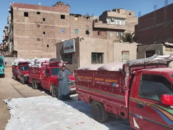 حصاد 2025: تخزين 375 ألف طن من القمح في صوامع المنيا حصاد 2025: تخزين 375 ألف طن من القمح في صوامع المنيا