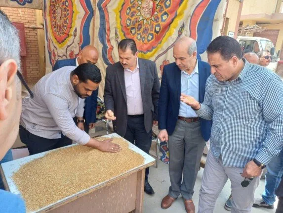 حصاد 2025.. توريد 103 ألف طن قمح بشون وصوامع بني سويف