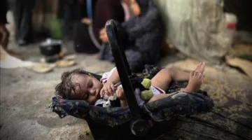 حصيلة مروعة: 343 طفلاً ولدوا واستشهدوا في ظل حرب الإبادة الإسرائيلية على قطاع غزة