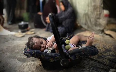 حصيلة مروعة: 343 طفلاً ولدوا واستشهدوا في ظل حرب الإبادة الإسرائيلية على قطاع غزة حصيلة مروعة: 343 طفلاً ولدوا واستشهدوا في ظل حرب الإبادة الإسرائيلية على قطاع غزة