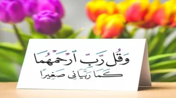 حق الإحسان إلى الوالدين من أهم الواجبات في الإسلام