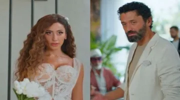 حقيقة العلاقة بين دينا الشربيني وكريم محمود عبد العزيز