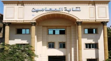 حل أزمة “محامية حلوان” بإطلاق سراحها وإيقاف عنصر الأمن المخالف عن العمل