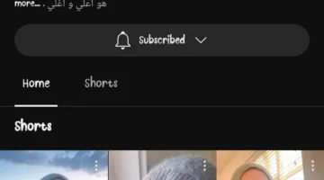 حلا شيحة تنتقل من التمثيل إلى قناة دينية على يوتيوب مع اشتراك شهري