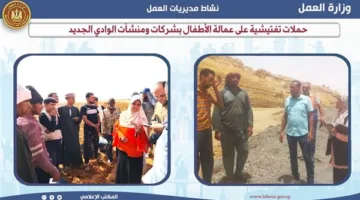 حملات تفتيشية على تشغيل الأطفال في الشركات والمؤسسات بالوادي الجديد