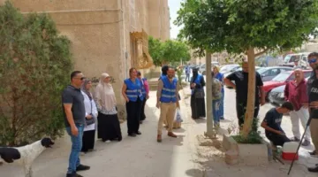حملات دورية مكثفة لتطعيم الكلاب الضالة في مدينة العبور ضد مرض «السعار»