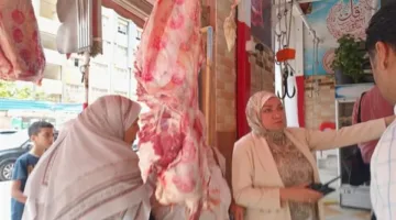 حملة شاملة على الأسواق وتنظيف المنطقة من الإشغالات في حي ثان المنتزه بالإسكندرية