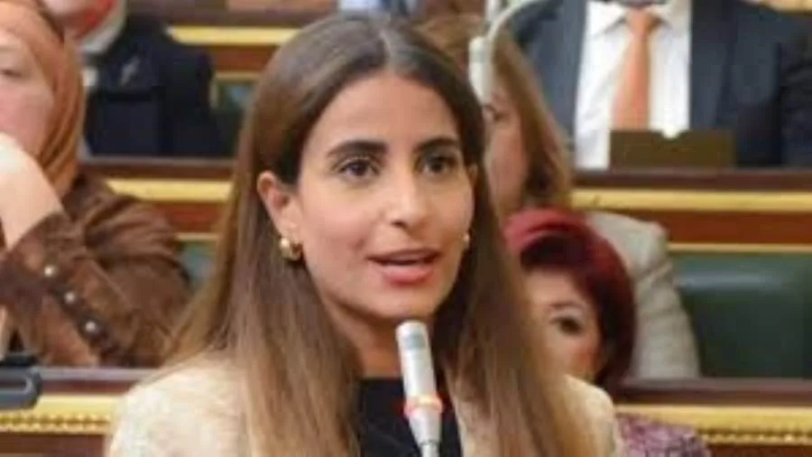 خارجية النواب:حملة تشويه التحركات «المصرية والقطرية» لن تنجح في النيل من الدعم المشترك لغزة