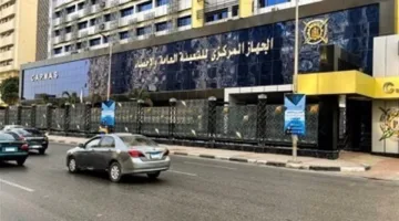 خبر مفرح: تراجع نسبة البطالة في مصر خلال الربع الأول من 2025