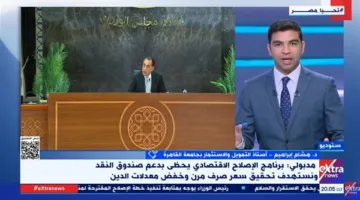خبير استثمار: الاقتصاد المصري حقق تقدمًا واضحًا في جذب الاستثمارات الخارجية