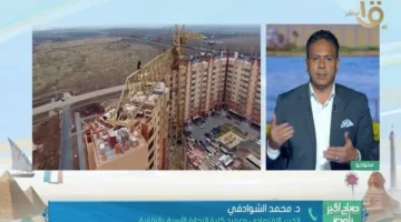 خبير اقتصادي: إفريقيا تحمل فرص استثمارية متميزة