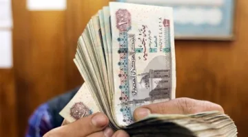 خبير اقتصادي: قرار تثبيت معدل الفائدة يبدو محتملًا في الاجتماع القادم للجنة السياسات