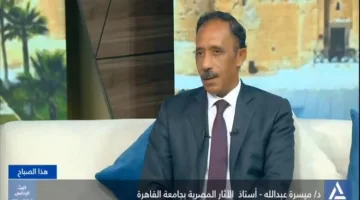 خبير: زيادة مجالات البحث في الآثار المصرية