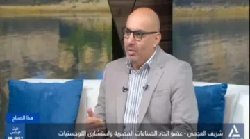 خبير صناعي: تعزيز الاستدامة في الصناعة ضروري لتعزيز الاقتصاد المصري