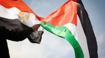 خبير: مصر هي الدولة الوحيدة التي لم تتنازل عن القضية الفلسطينية (فيديو)