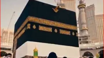 خبير: مكة المكرمة تتصدر في استخدامات الذكاء الاصطناعي