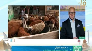 خبيرة في الصحة تقدم إرشادات لاختيار أضحية صحية ومتوافقة مع المعايير الشرعية