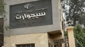خطة تطوير شركة “سيجوارت” المملوكة للقطاع العام: تفاصيل جديدة