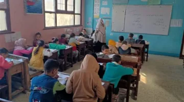 خطوات ورابط التحقق من نتيجة الصف الخامس الابتدائي 2025 بشكل رسمي