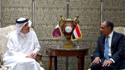“خطوة باتجاه السلام” .. وزيرا خارجية مصر وقطر يعبّران عن ترحيبهما بالإفراج عن الرهينة عيدان ألكسندر.