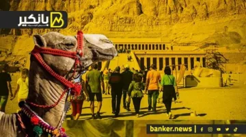 خطوة ستغير وجه السياحة في مصر: ما قصة التأشيرات الطارئة؟