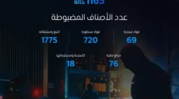 خلال أسبوع.. الجمارك تسجل 1165 واقعة ضبط للسلع المحظورة