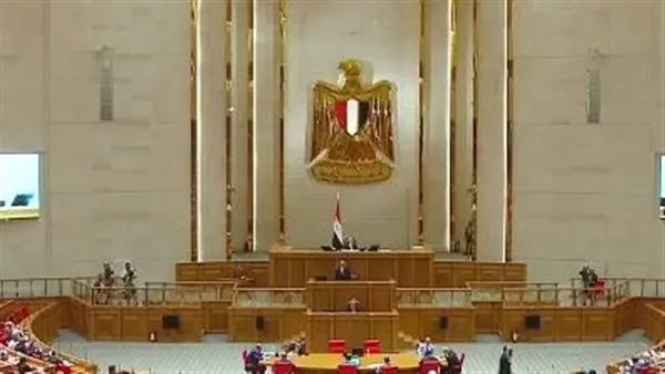 خلفا لـ رقية الهلالي.. ميرفت عبد النعيم تؤدي اليمين الدستورية عضوا بمجلس النواب