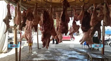خيام لبيع اللحوم بأسعار مميزة.. ‘التموين’ تُعلن خطة شاملة للاحتفال بالعيد (فيديو)