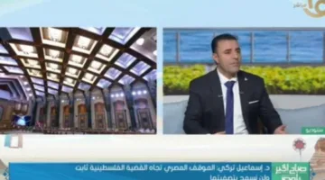 د. إسماعيل تركي: مصر تتصدر المبادرات العربية والدولية لوقف الهجمات على غزة