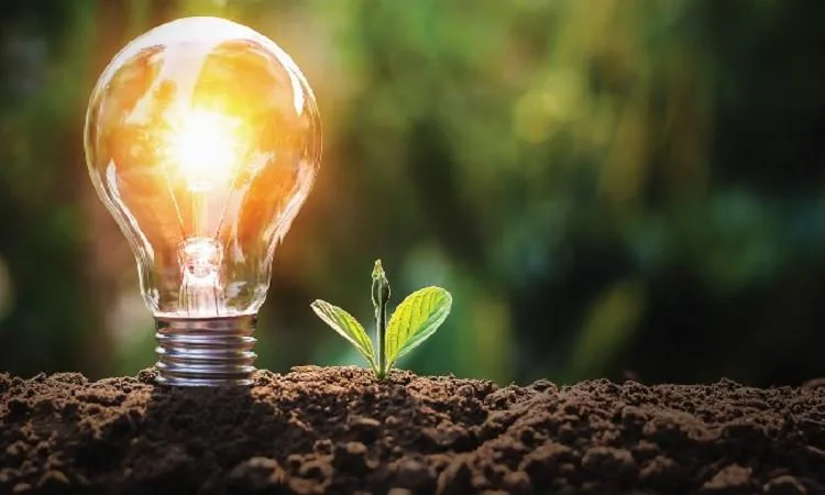 د. تغريد بدر الدين: إدارة الموارد هي مسؤولية مشتركة لضمان مستقبل مستدام