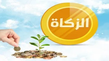 د. عبد الرؤوف: الزكاة مفروضة على الأموال التجارية وليست على النفقات الشخصية.