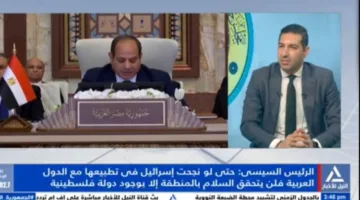 د. هيثم عمران: الانقسام العربي أثر على القوة السياسية للقضية الفلسطينية