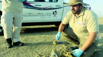 دراسة شاملة للبيئة في محمية خور العديد